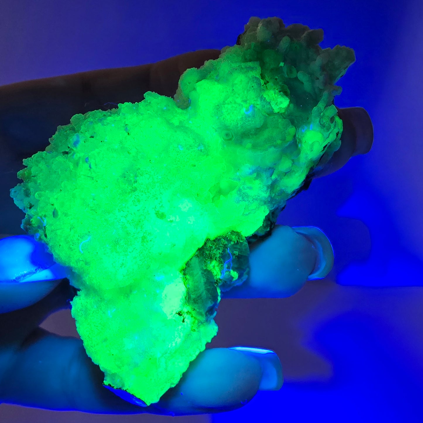 Spécimen rare d'opale hyalite (minéral UV) de tourmaline Schorl, Erongo, Namibie, 64 x 50 x 36 mm
