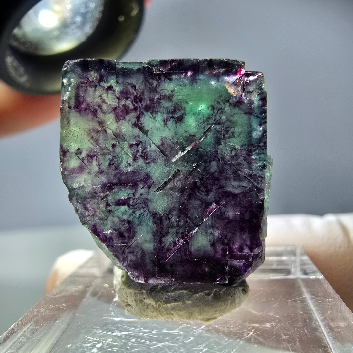 Rare cube de fluorite fantôme parqueté vert violet Okorusu Namibie 21*19*13mm