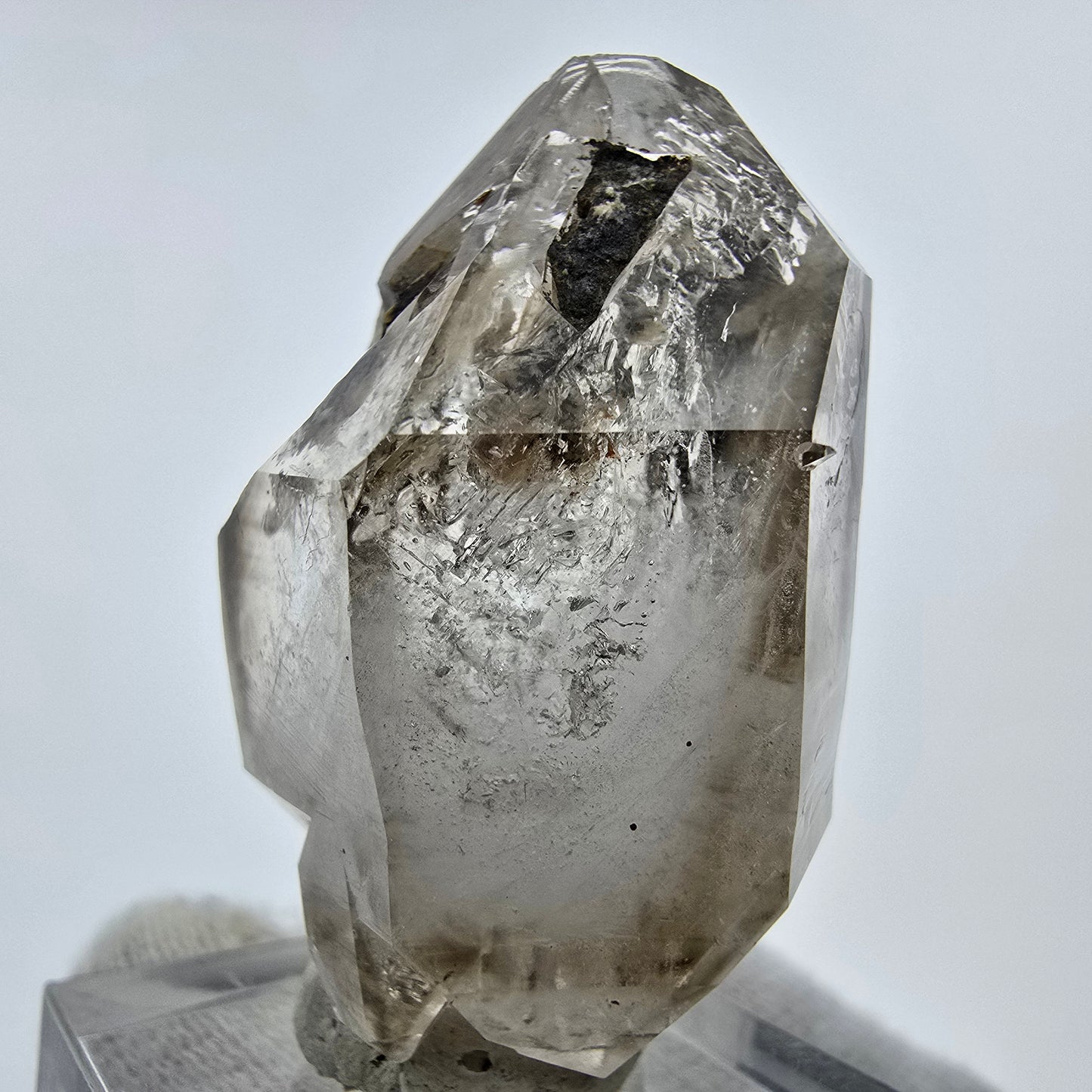 Enhydro Phantom Rauchquarz Zepter, 2x Blase Goboboseb, Namibia 43*27*21mm