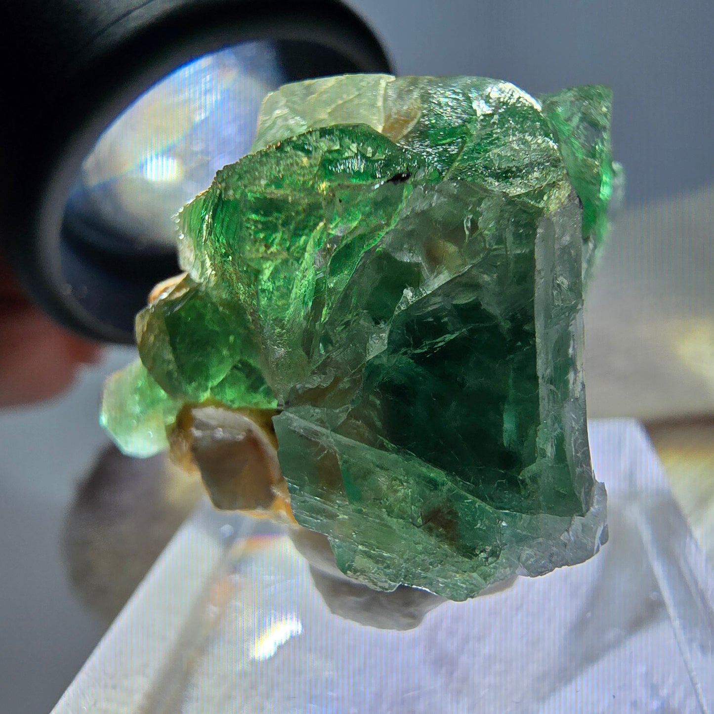 Cube de fluorite fantôme, spécimen de muscovite, Erongo, Namibie, 30 x 23 x 21 mm