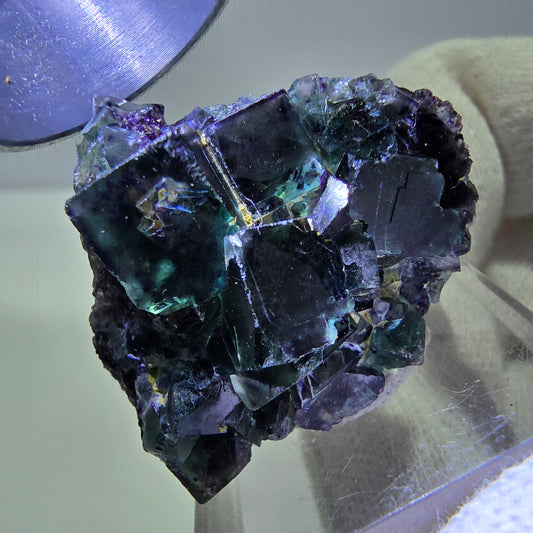 Spécimen zonal de cube de fluorite fantôme, vert violet, Okorusu, Namibie 32 x 30 x 19 mm