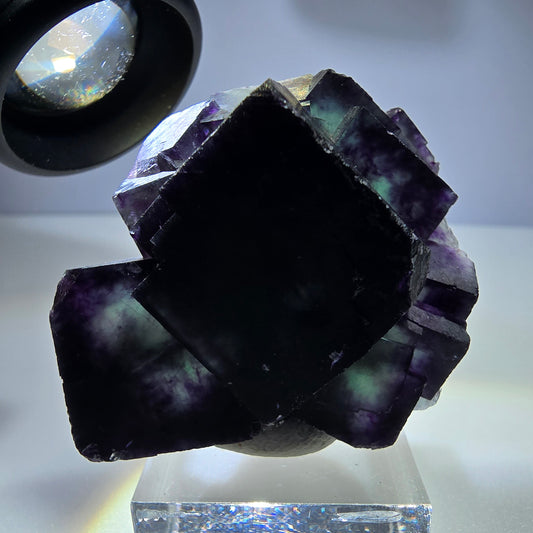 Spécimen rare de cube de fluorite fantôme, vert zonal et violet, Okorusu, Namibie, 51 x 46 x 28 mm