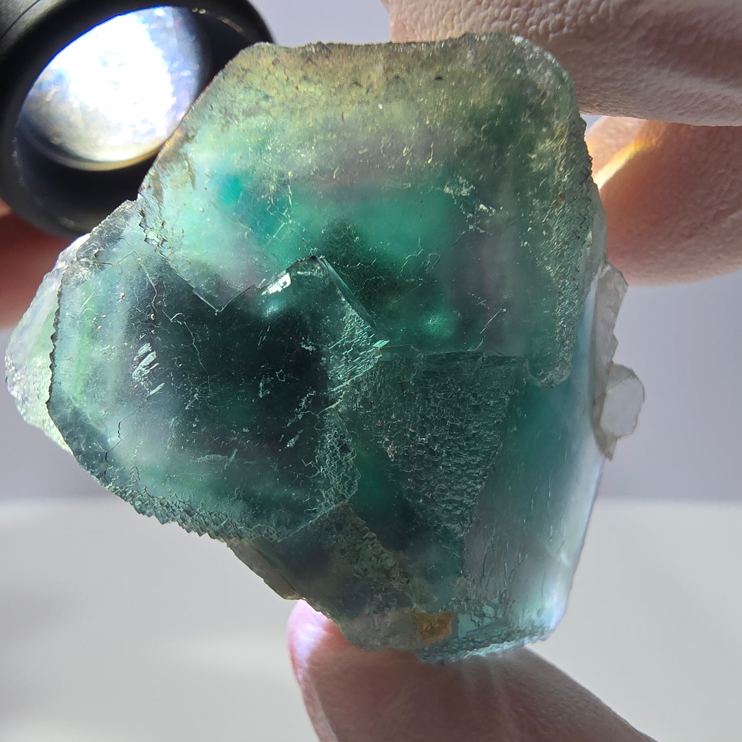 Spécimen de cube de fluorite fantôme, parqueté vert violet Okorusu, Namibie 44*43*21 mm