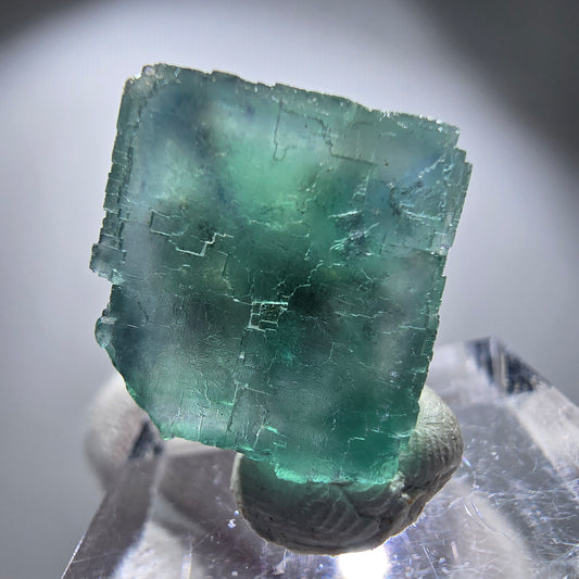 Rare spécimen de cube de fluorite fantôme, vert Okorusu, Namibie 24 x 23 x 17 mm