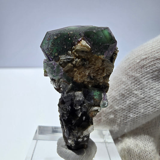 Cube de fluorite fantôme, tourmaline muscovite hexagonale Schörl, Erongo, Namibie 40 x 21 x 13 mm