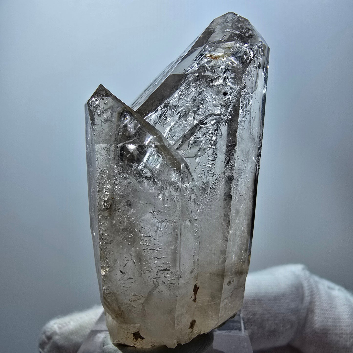 Enhydro Phantom Rauchquarz Fenster Zepter, 1x Blase Goboboseb Namibia 60*27*21mm