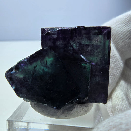 Rare spécimen de cube de fluorite fantôme zonal vert violet Okorusu, Namibie 36*26*25mm