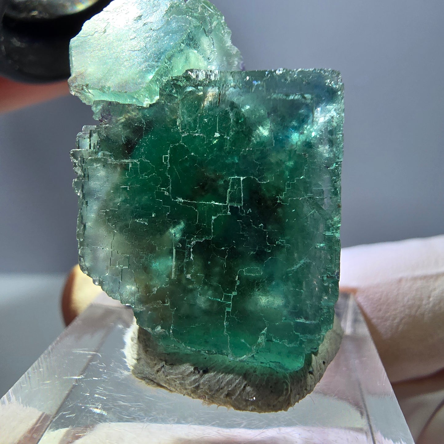 Spécimen de cube de fluorite fantôme, parquet vert Okorusu, Namibie 29 x 22 x 19 mm