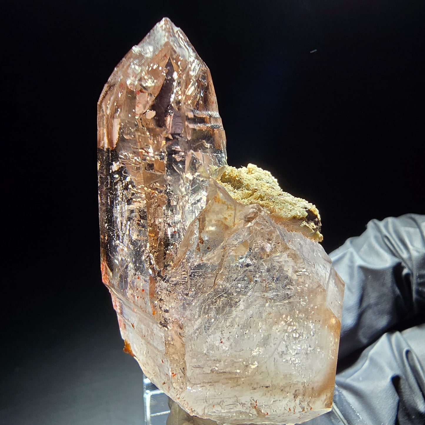 Klare Phantom Rauchquarz Zepter Spitze Goboboseb, Namibia 50*32*23mm Sammlung
