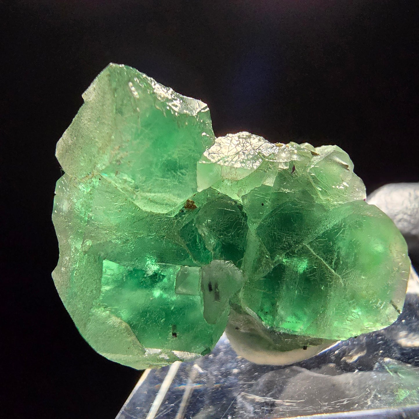 Klare Phantom Fluorit, Schörl Turmalin, Muskovit Stufe Erongo Namibia 30*24*19mm