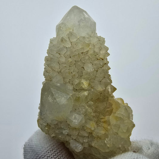 Quartz cactus, quartz spiritueux de qualité XX, Boekenhouthoek, Afrique du Sud, collection 49 x 31 x 24 mm