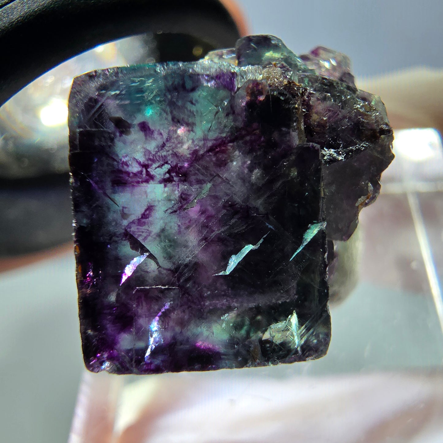 Phantom Fluorit Würfel Stufe, parkettiert grün lila Okorusu, Namibia 19*16*16mm