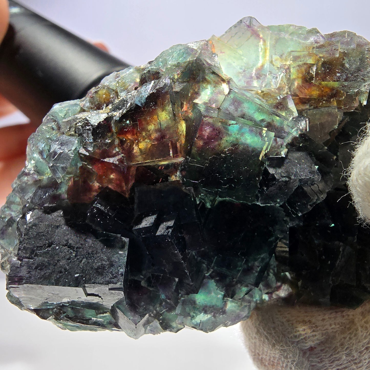 Rare spécimen de cube de fluorite fantôme, vert violet Okorusu Namibie 80*43*17 mm