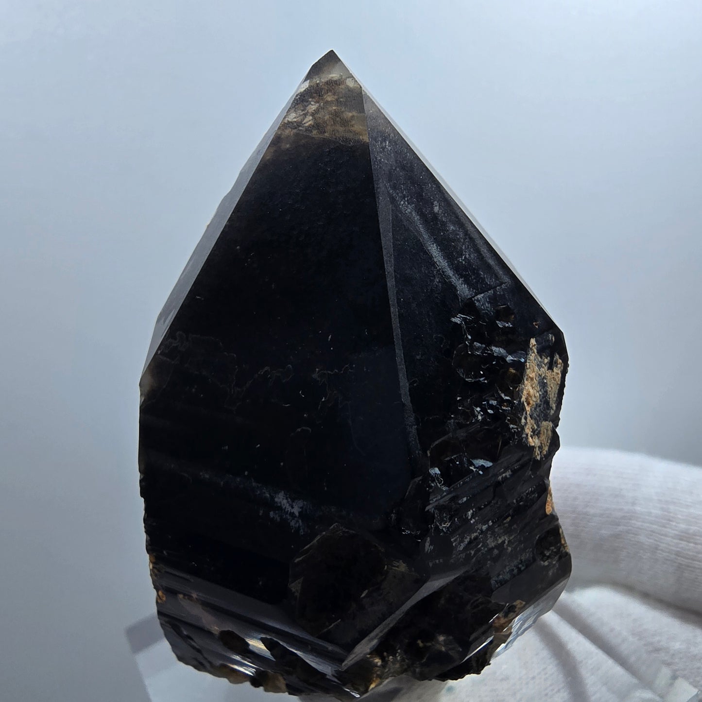Sceptre de poche en quartz fumé squelette fantôme lémurien, Goboboseb de la Saint-Valentin, Namibie, 66 x 41 x 36 mm