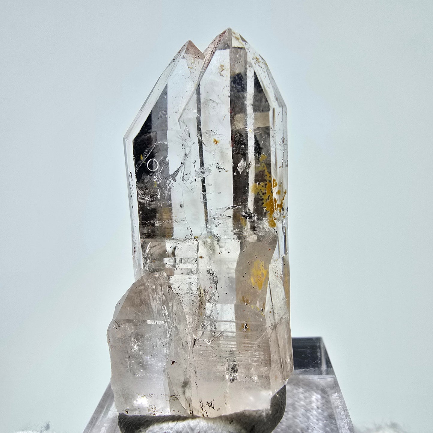 Sceptre de poche en quartz fumé fantôme squelette, Namibie, 42 x 21 x 17 mm