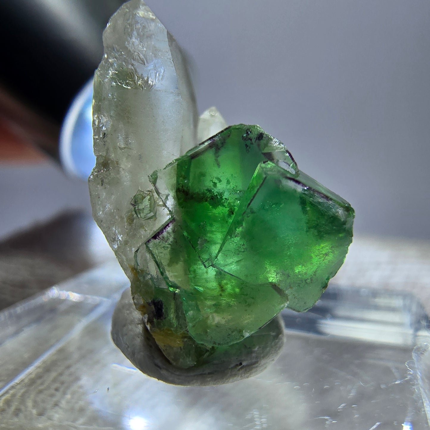 Cube de fluorite fantôme, spécimen de quartz fumé, Erongo, Namibie, 19 x 10 x 12 mm