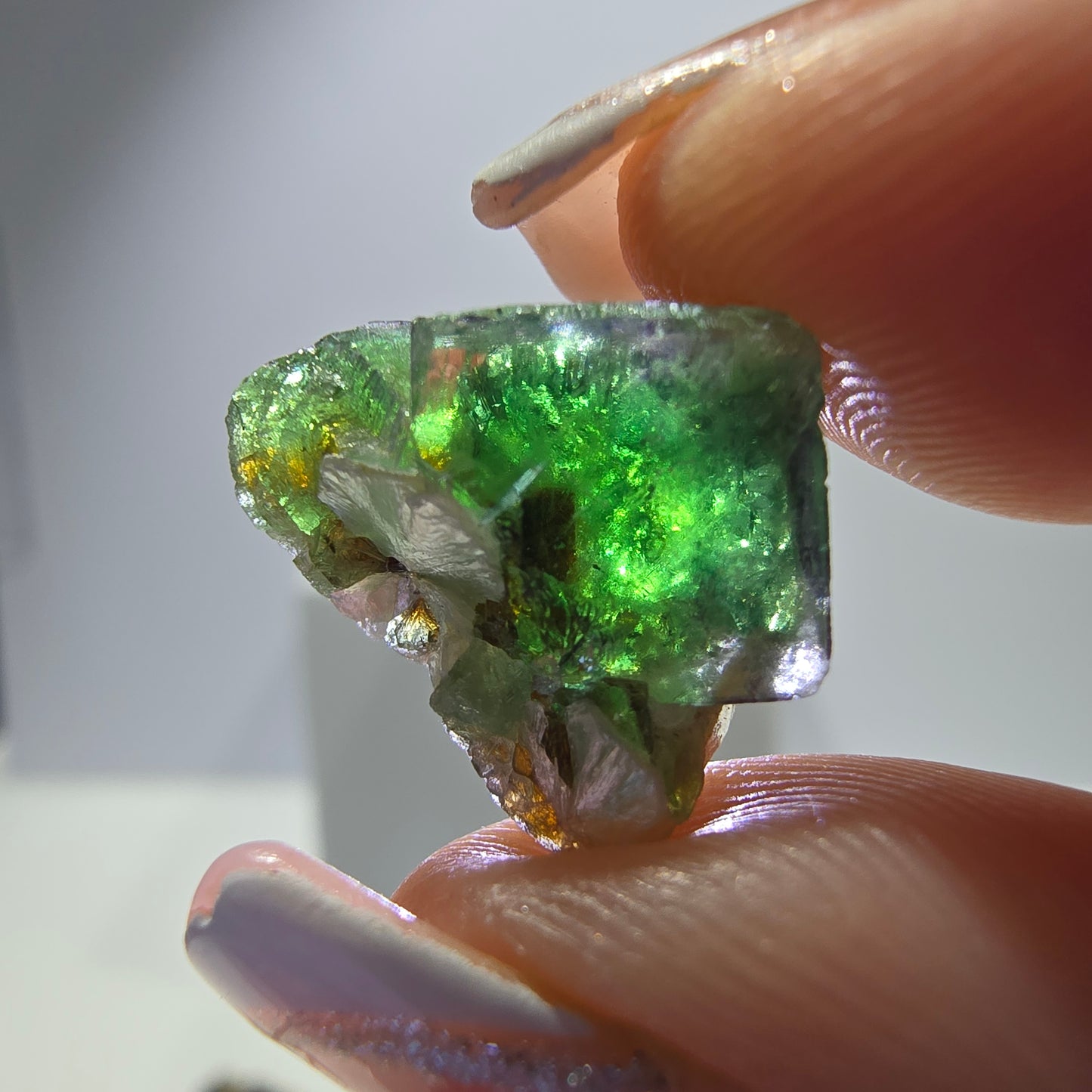 Lot de 16 fluorites fantômes, hyalites, tourmalines Schörl, muscovites, Erongo, Namibie