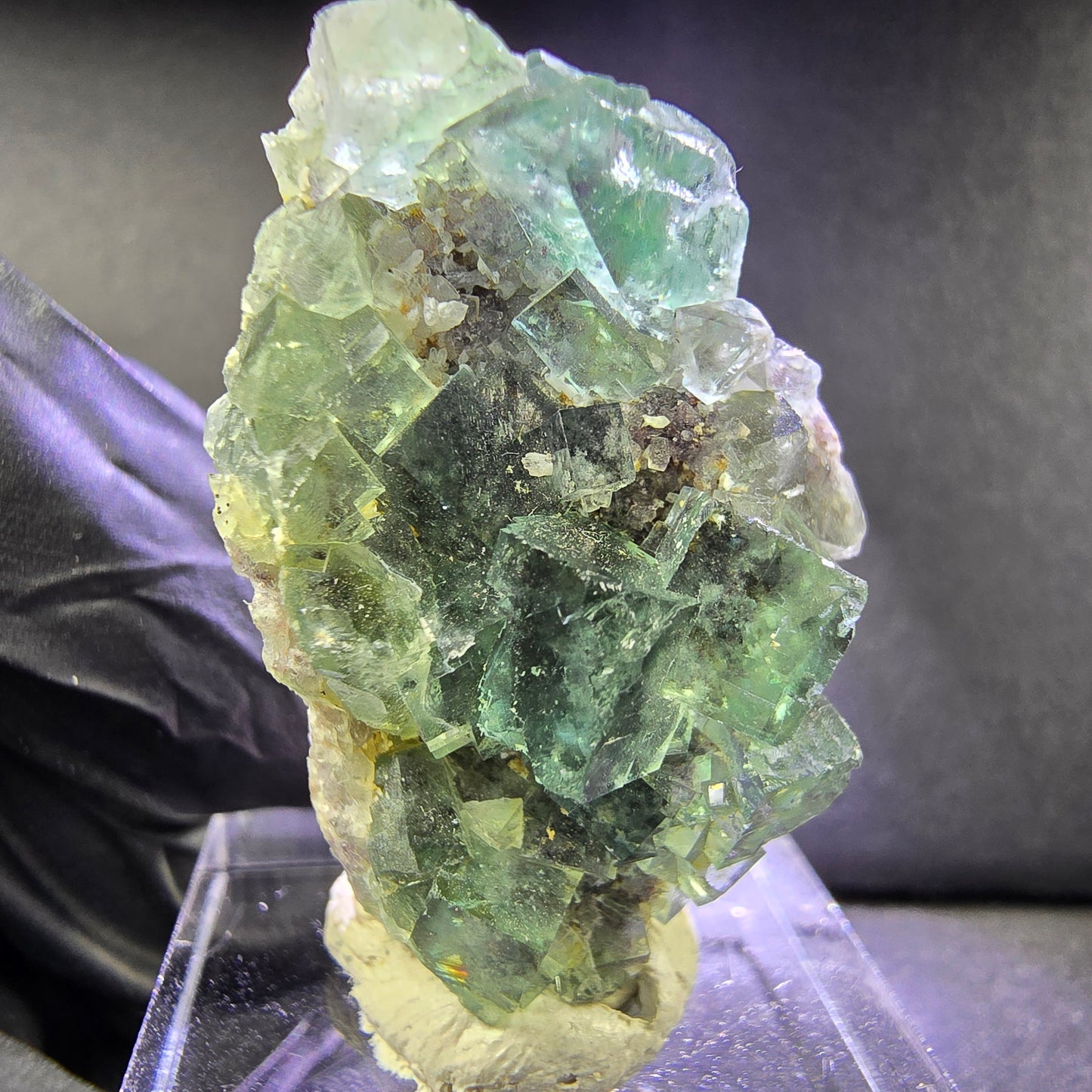 Sehr klare Zonare Fluorit XX Würfel Stufe grün lila 36*22*16mm Okorusu, Namibia