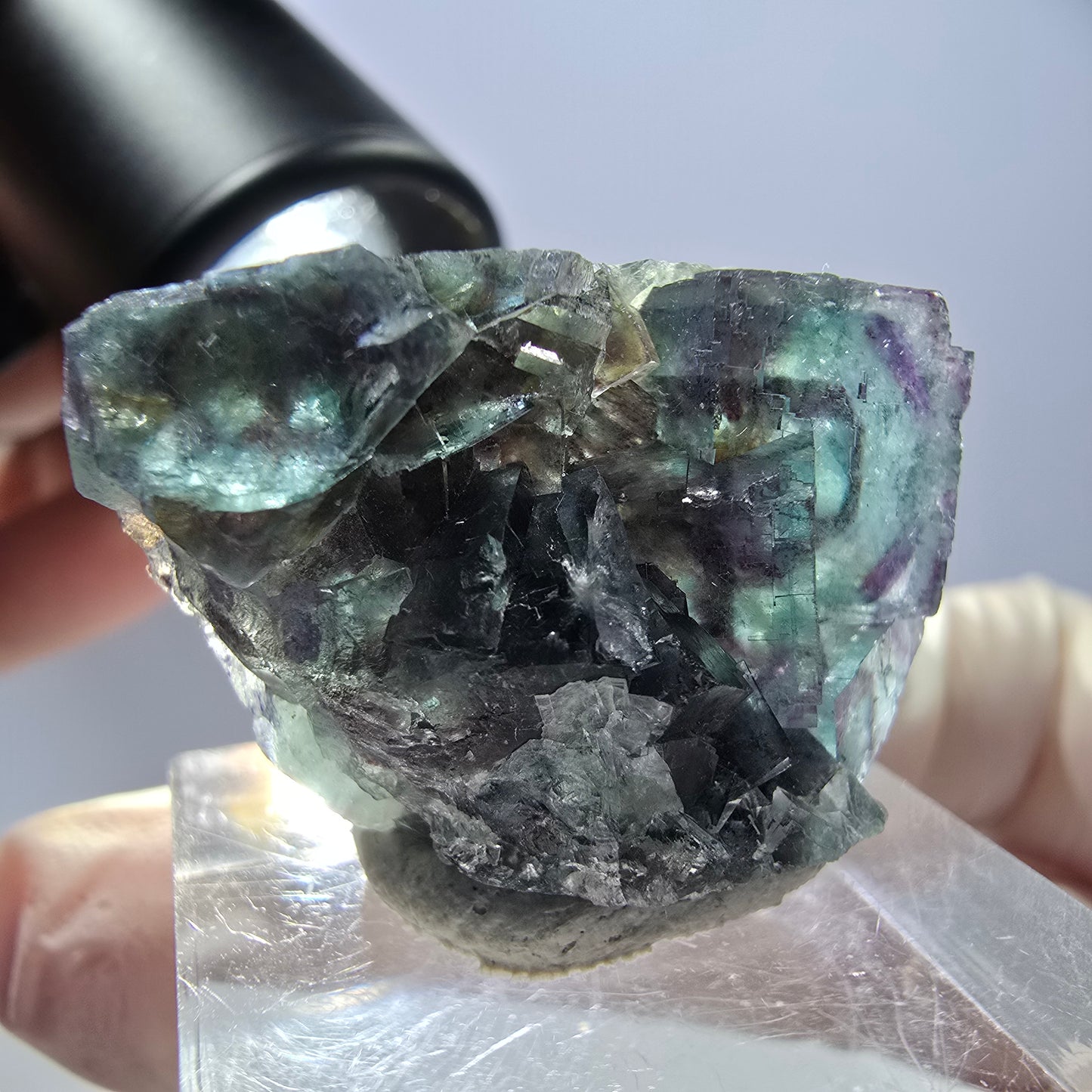 Spécimen de cube de fluorite fantôme, parqueté vert violet Okorusu, Namibie 29*21*12 mm