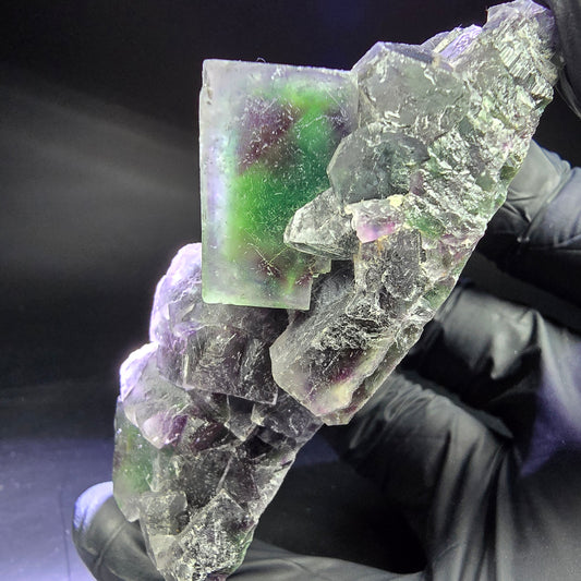 Rare niveau de cube de fluorite fantôme violet vert 86*46*31mm d'Okorusu, Namibie