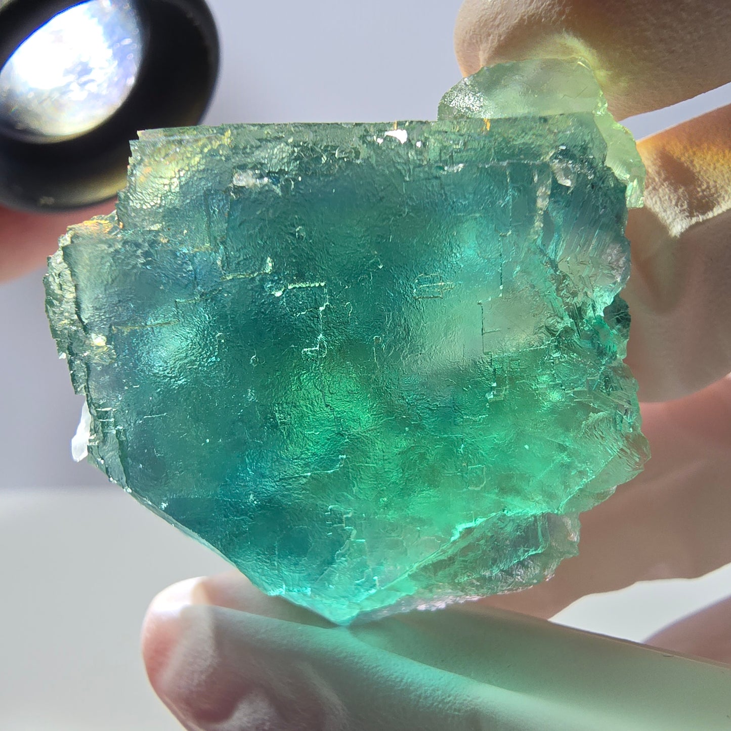 Spécimen de cube de fluorite fantôme transparente, vert parqueté, Okorusu, Namibie, 48 x 29 x 27 mm