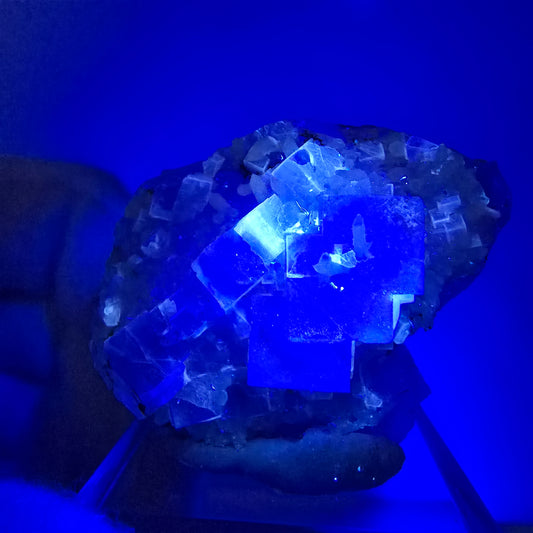 Seltene UV Phantom Fluorit Würfel, Quarz Stufe Brandberg, Namibia 37*31*15mm