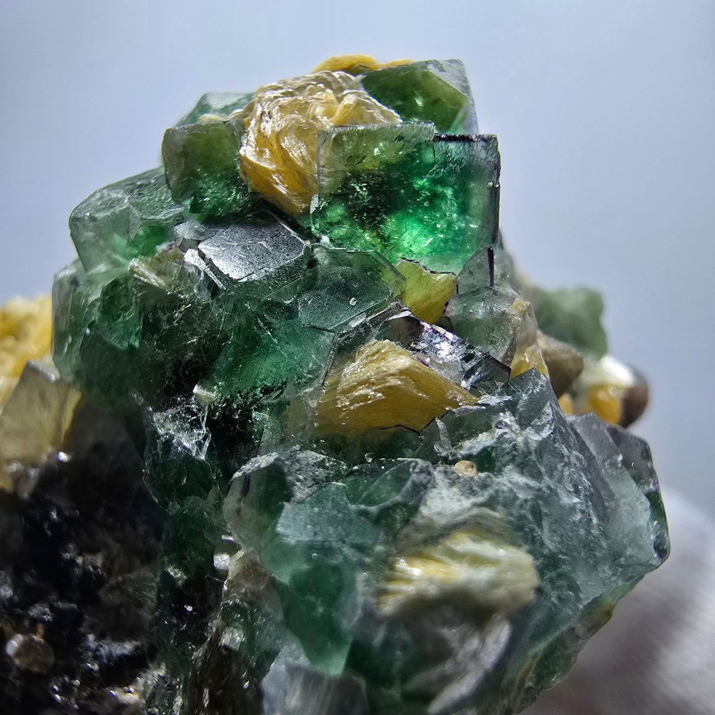 Fluorite fantôme Schörl, tourmaline, calcite, muscovite, stade Erongo, Namibie, 62 x 40 x 38 mm
