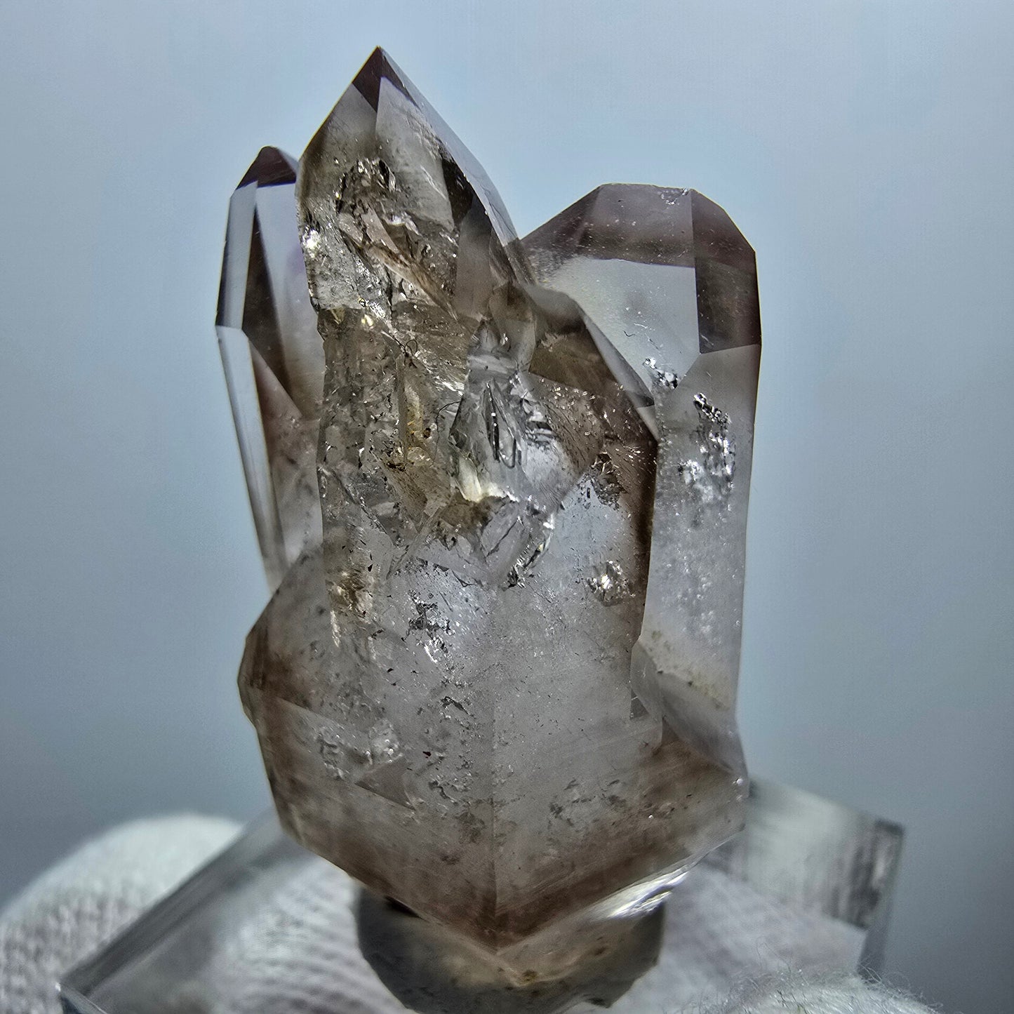 Amas de sceptres en quartz fumé fantôme transparent, Goboboseb, Namibie, 35 x 20 x 17 mm