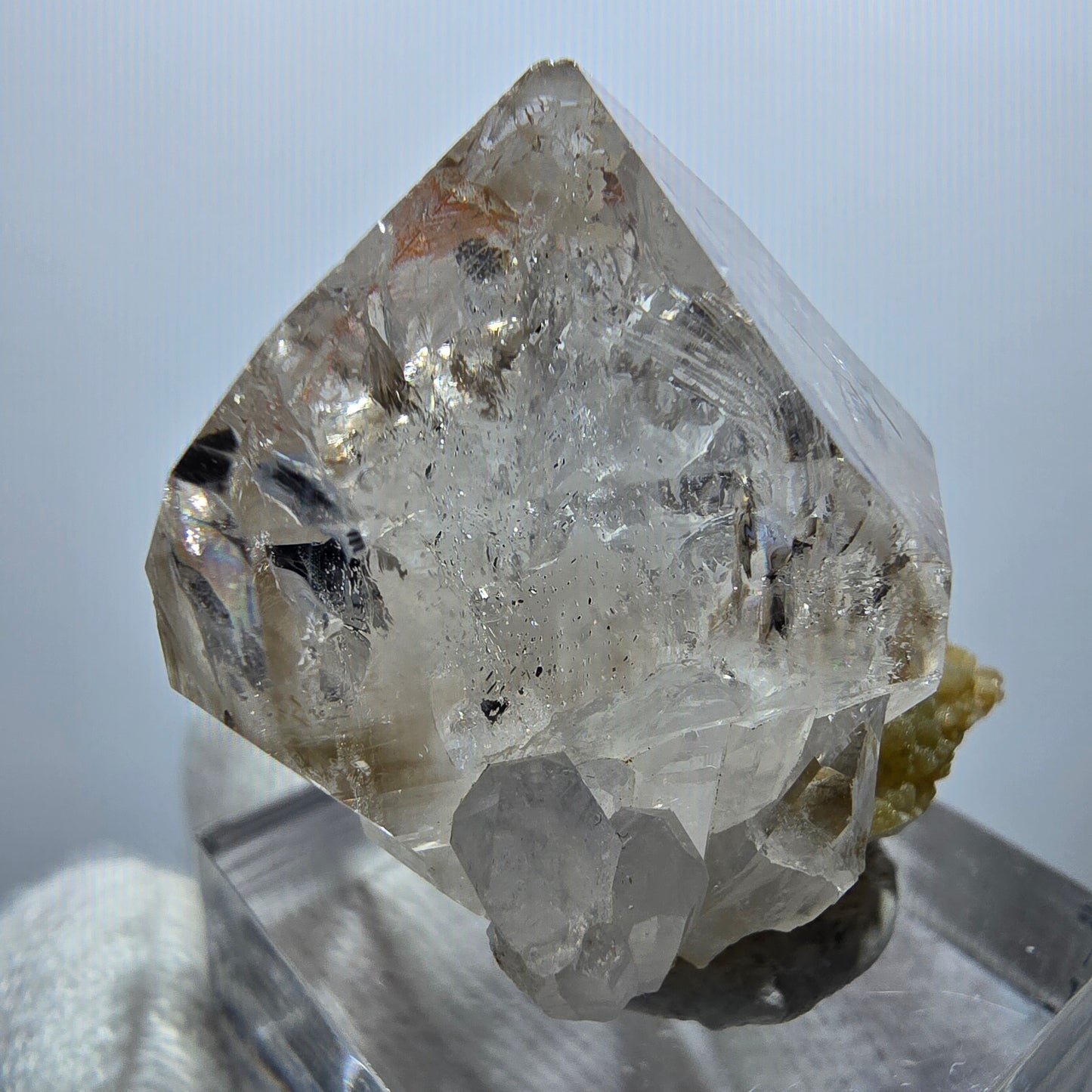 Sceptre en quartz fumé fantôme Enhydro, 1x Bubble Goboboseb, Namibie 33 x 25 x 21 mm