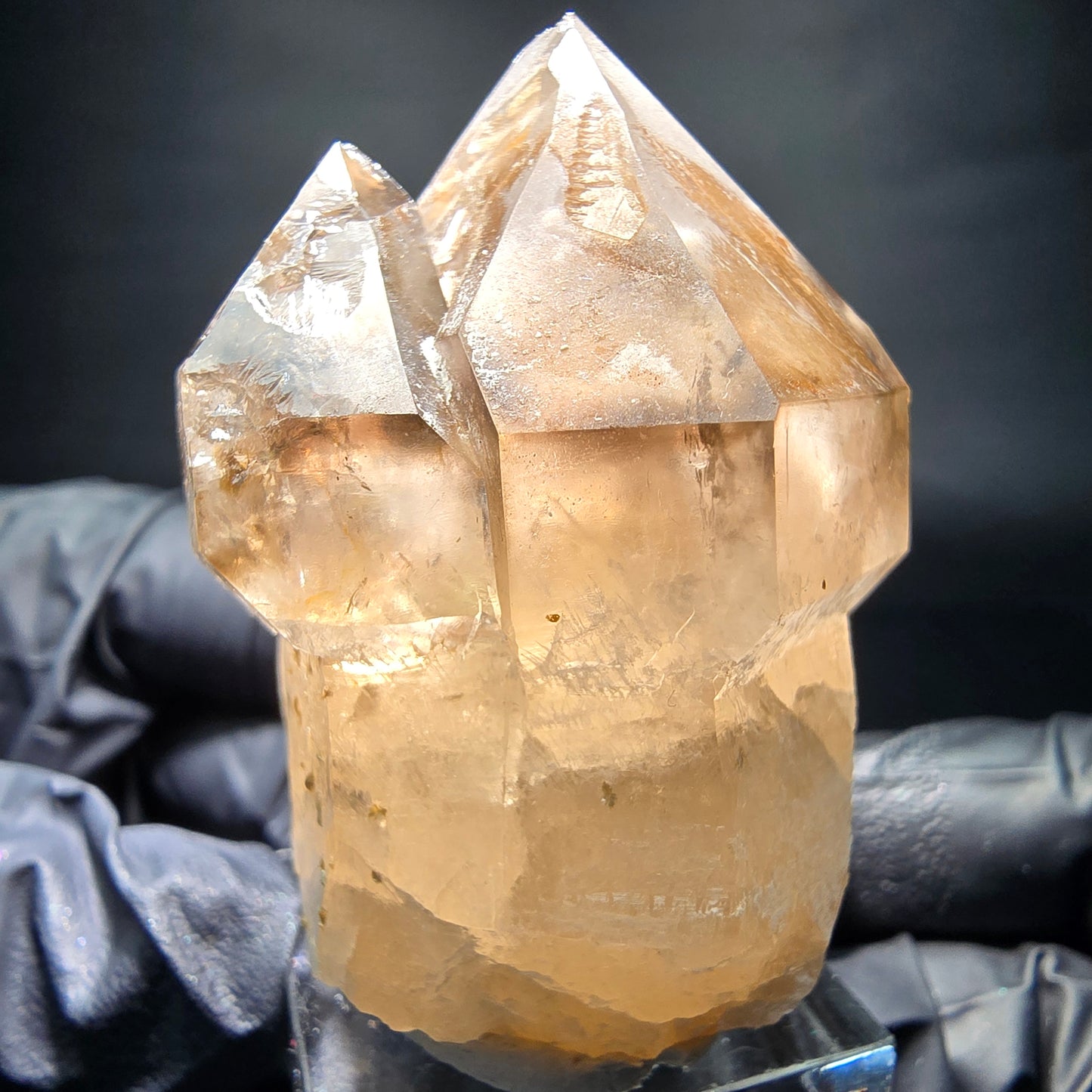 Klare Phantom Rauchquarz Zepter Spitze Erongo, Namibia 51*44*33mm Sammlung
