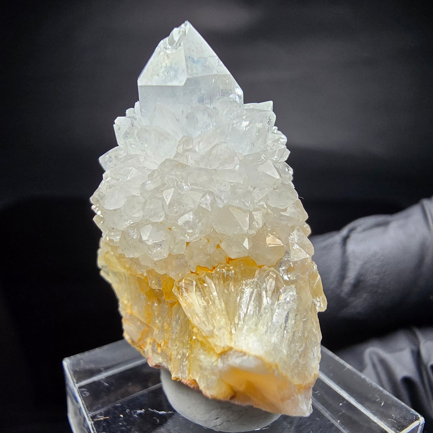 Kaktusquarz, Spirit Quarz XX Stufe Boekenhouthoek, Südafrika 35*29*25mm Sammlung