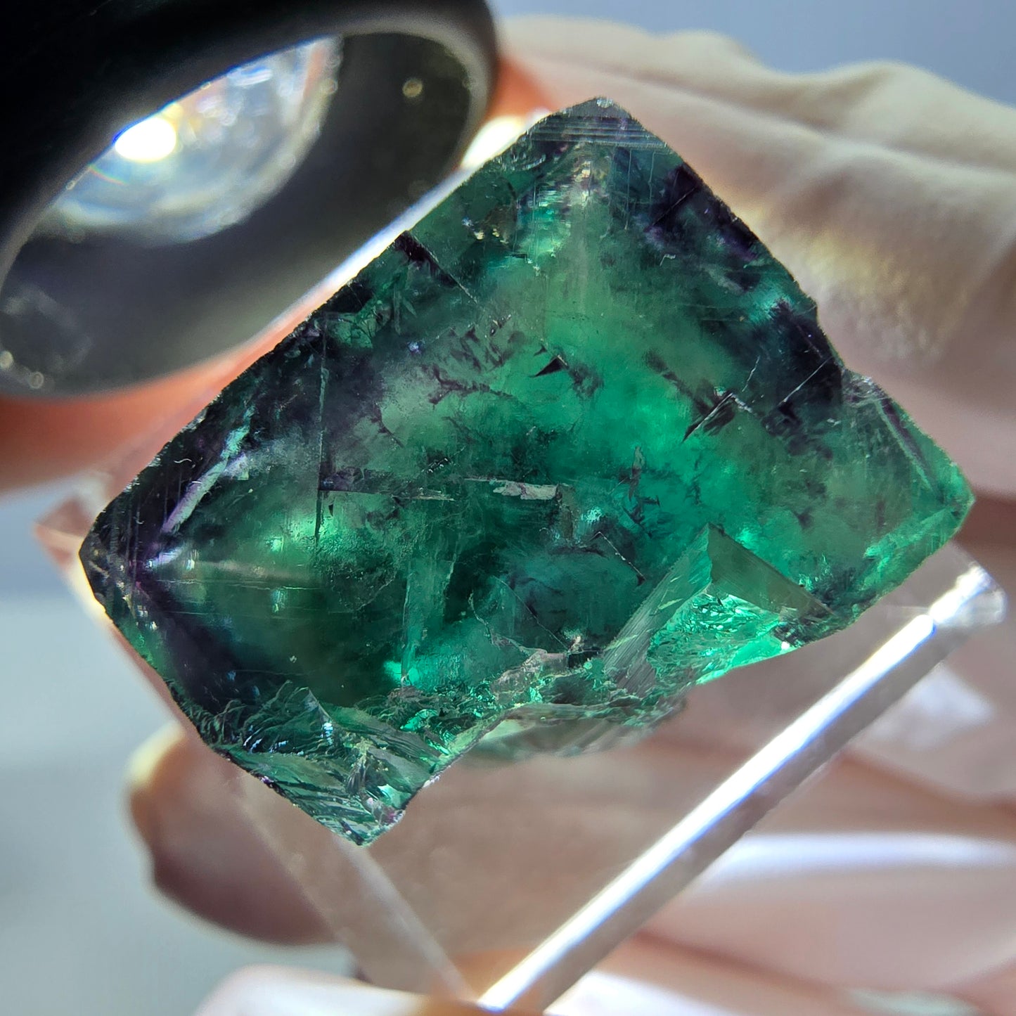 Phantom Fluorit Würfel Stufe, parkettiert grün lila Okorusu, Namibia 18*17*14mm