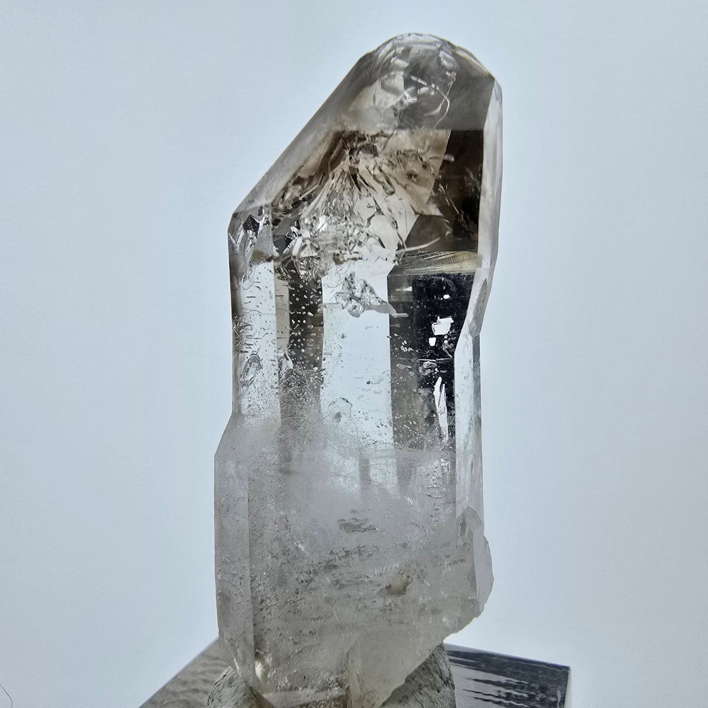Enhydro Phantom Rauchquarz Zepter, 1x Blase Goboboseb, Namibia 47*17*14mm