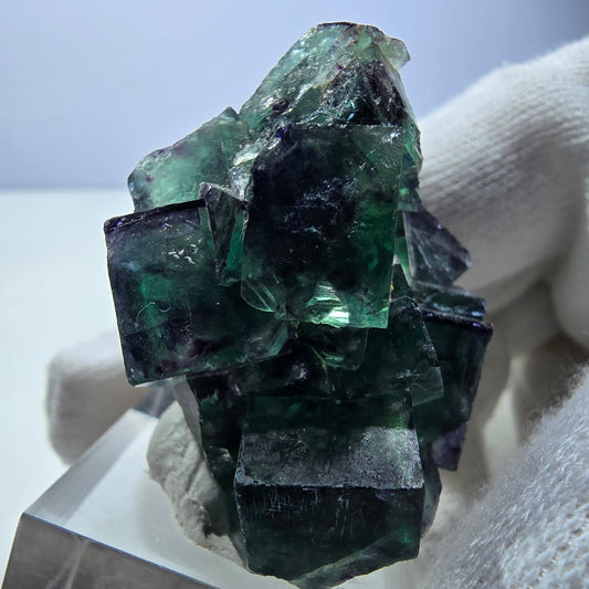 Rare spécimen de cube de fluorite fantôme, vert zonal et violet, Okorusu, Namibie, 41 x 33 x 30 mm