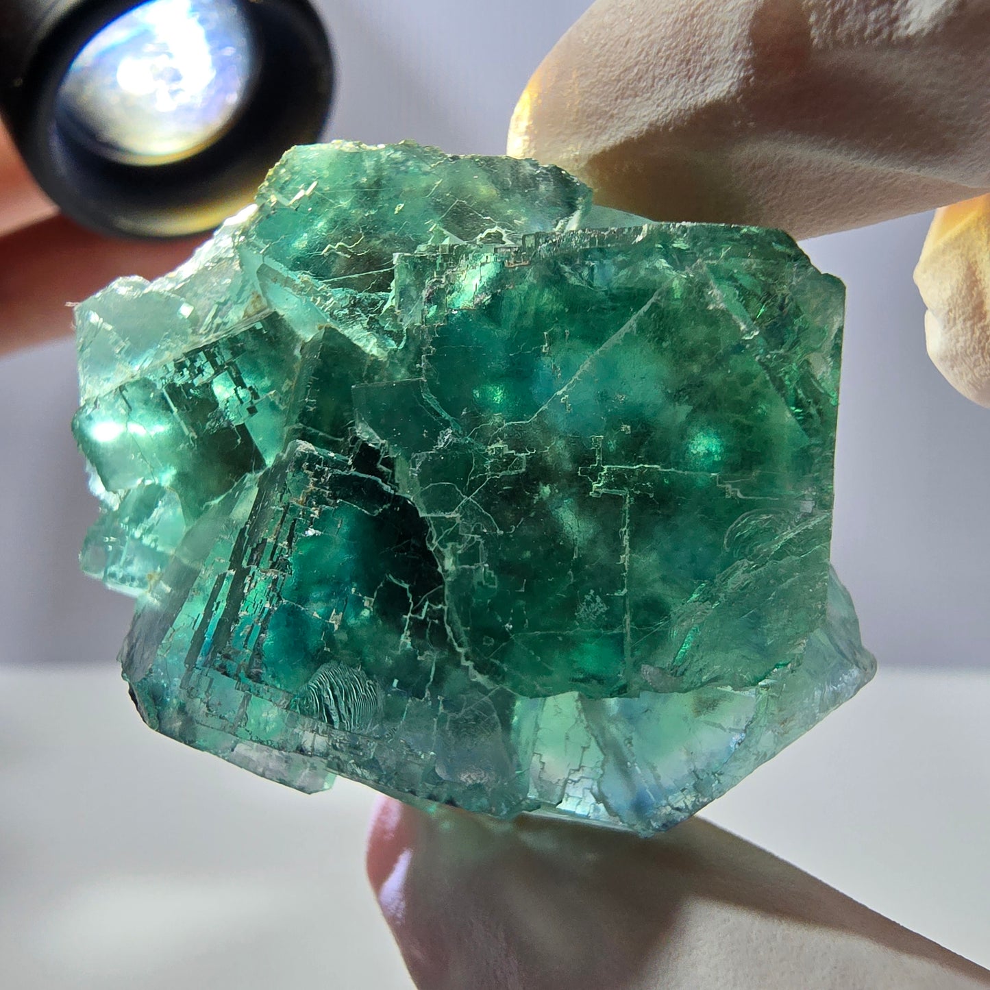Spécimen de cube de fluorite fantôme transparente, vert parqueté, Okorusu, Namibie, 48 x 36 x 21 mm