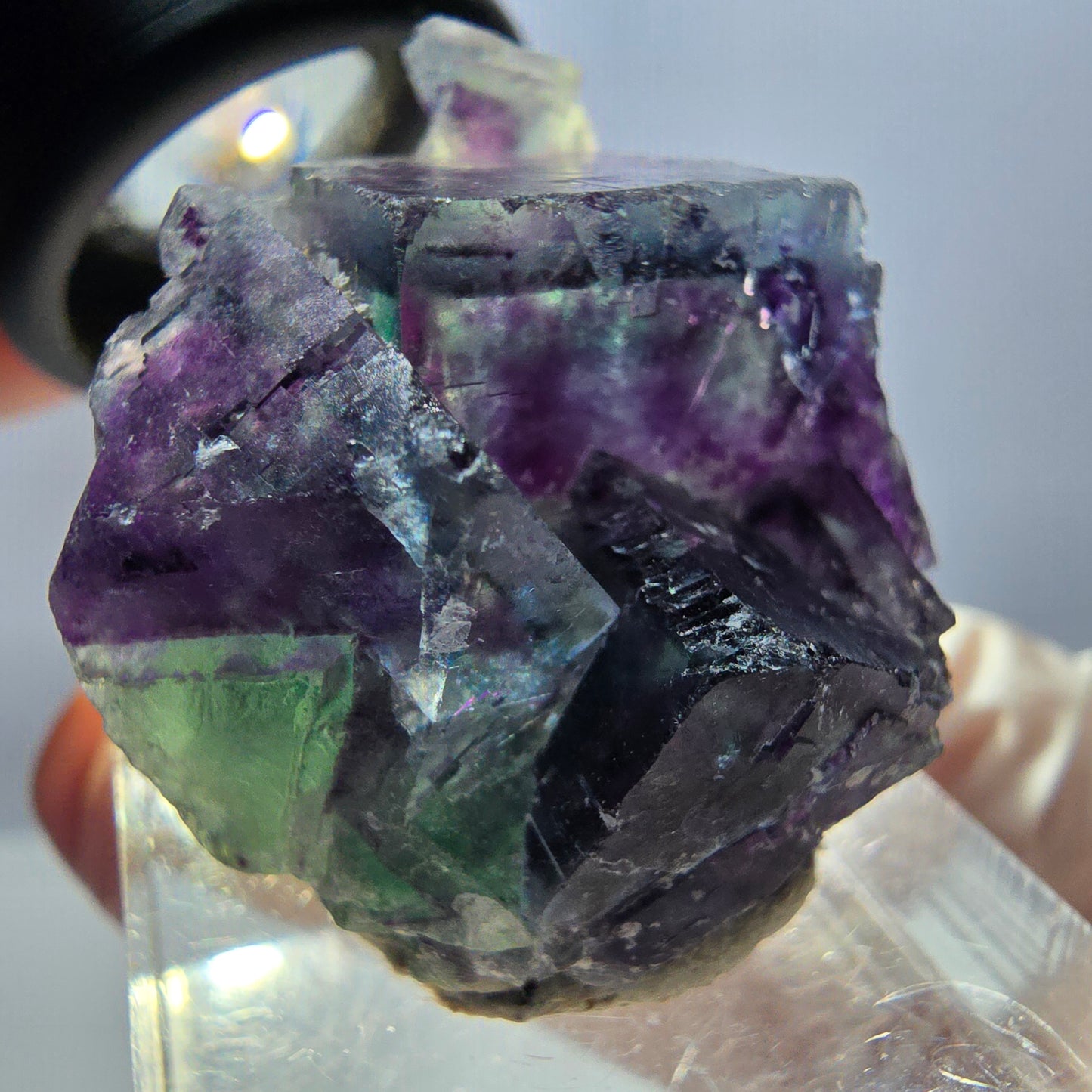 Spécimen de cube de fluorite fantôme, parqueté vert violet Okorusu, Namibie 32*28*17 mm