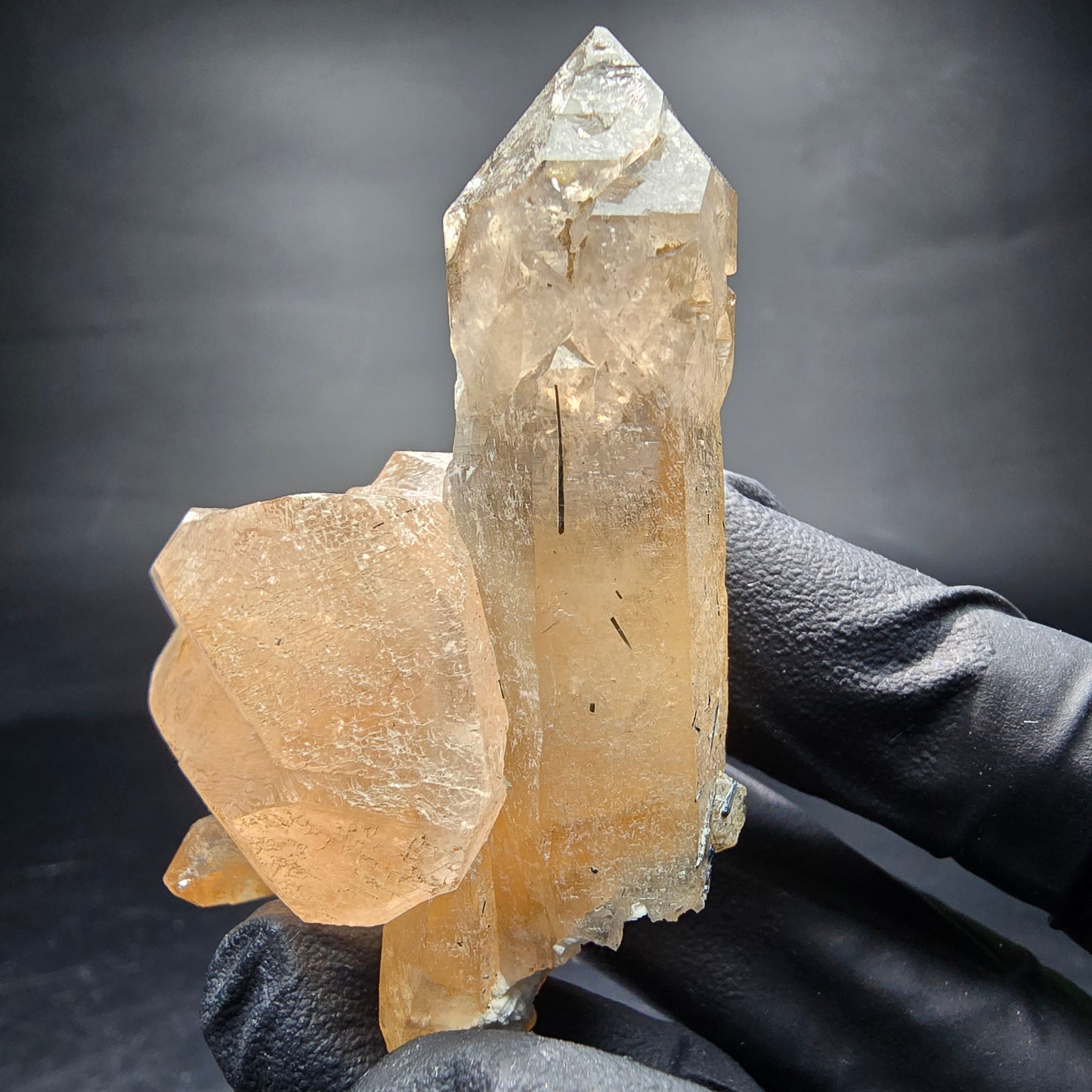 Klare Rauchquarz Zepter mit Schörl Turmalin Stufe Erongo, Namibia 58*47*28mm