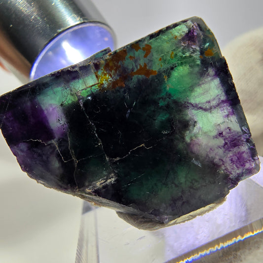 Spécimen rare de cube de fluorite fantôme, vert-violet zonal, Okorusu, Namibie, 33 x 27 x 21 mm