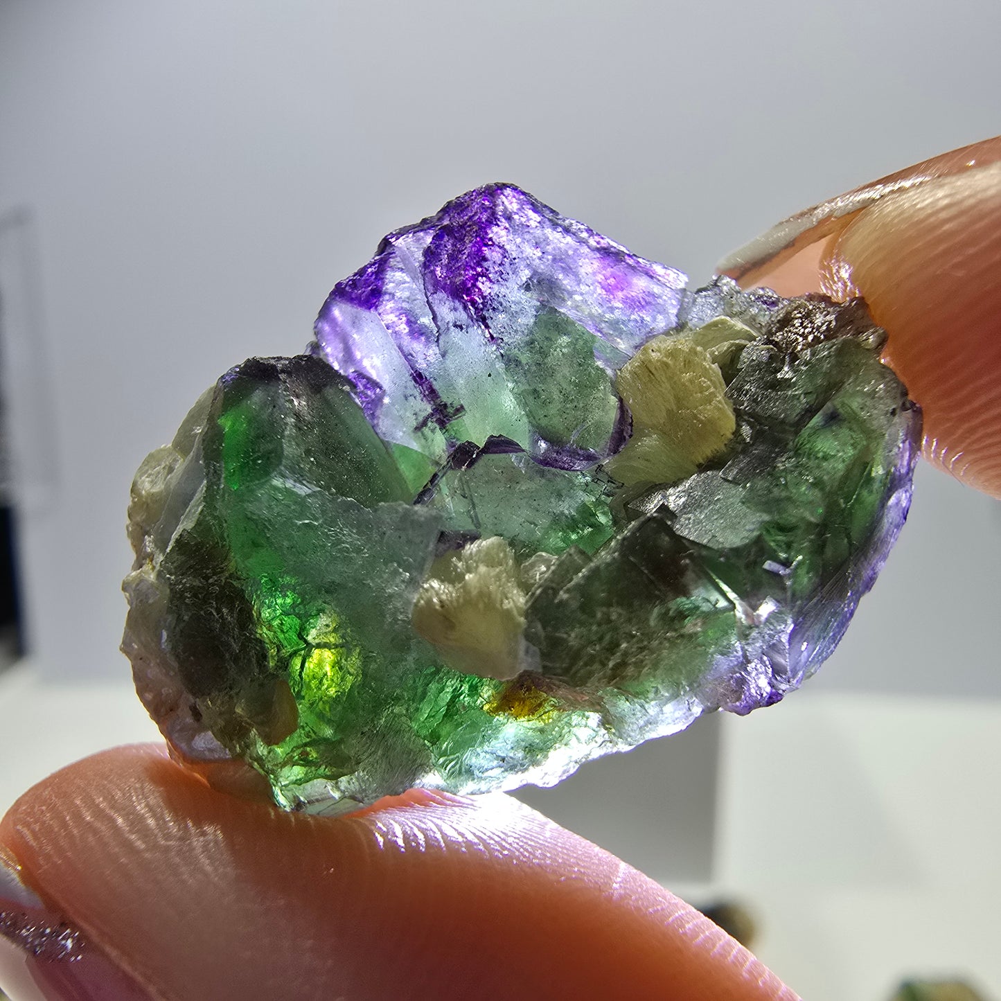 Lot de 16 fluorites fantômes, hyalites, tourmalines Schörl, muscovites, marches d'Erongo, Namibie