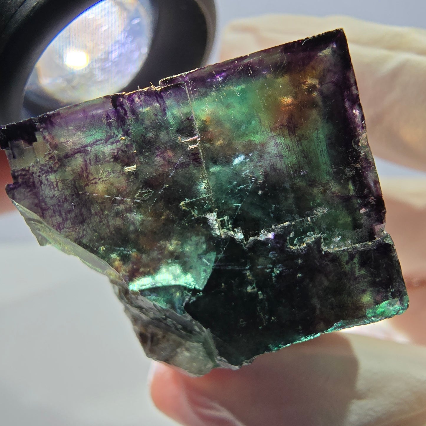 Phantom Fluorit Würfel Stufe, parkettiert grün lila Okorusu, Namibia 28*26*25mm