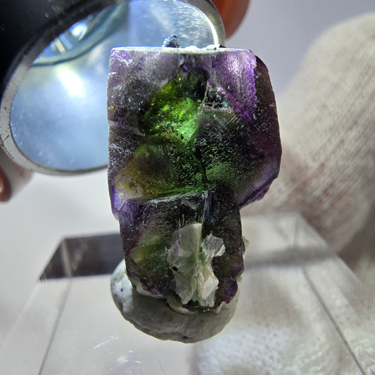 Cube de fluorite fantôme hexagonal, muscovite, tourmaline Schörl Erongo, Namibie 21*14*11mm