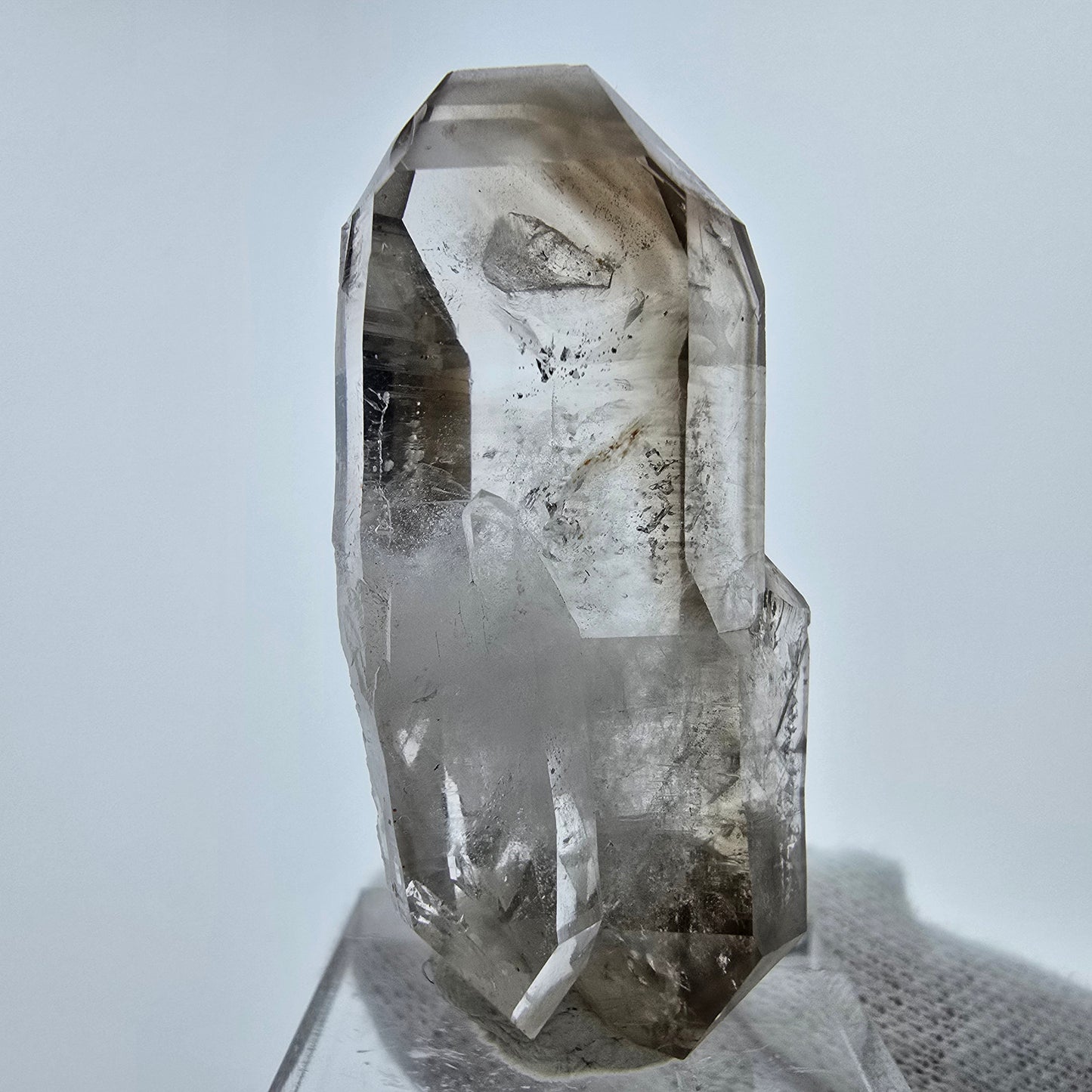 Phantom Rauchquarz DT Zepter Stufe Goboboseb, Namibia 46*22*14mm