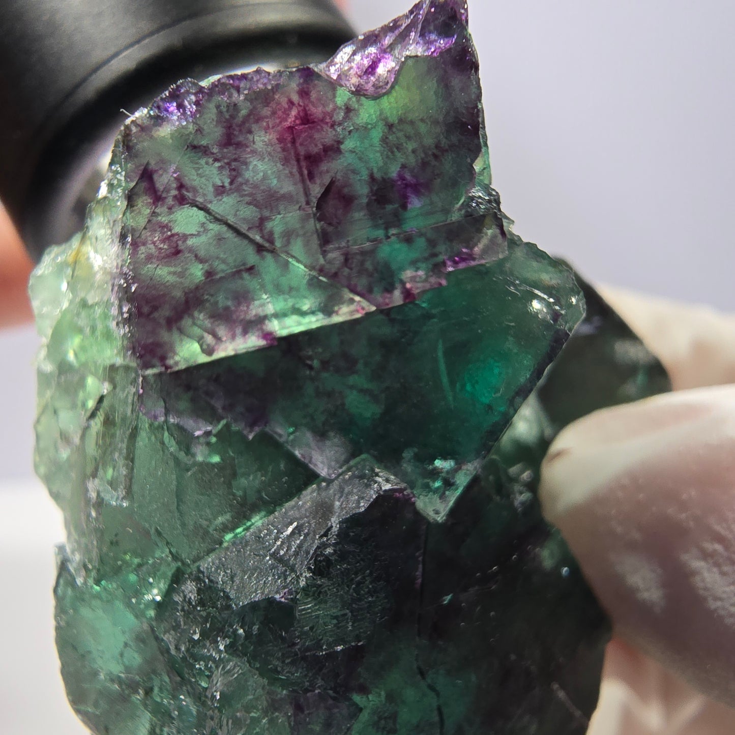 Spécimen de cube de fluorite fantôme parqueté vert violet Okorusu, Namibie 44*42*24 mm