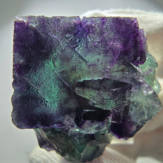 Spécimen rare de cube de fluorite fantôme, vert zonal et violet, Okorusu, Namibie, 38 x 30 x 24 mm
