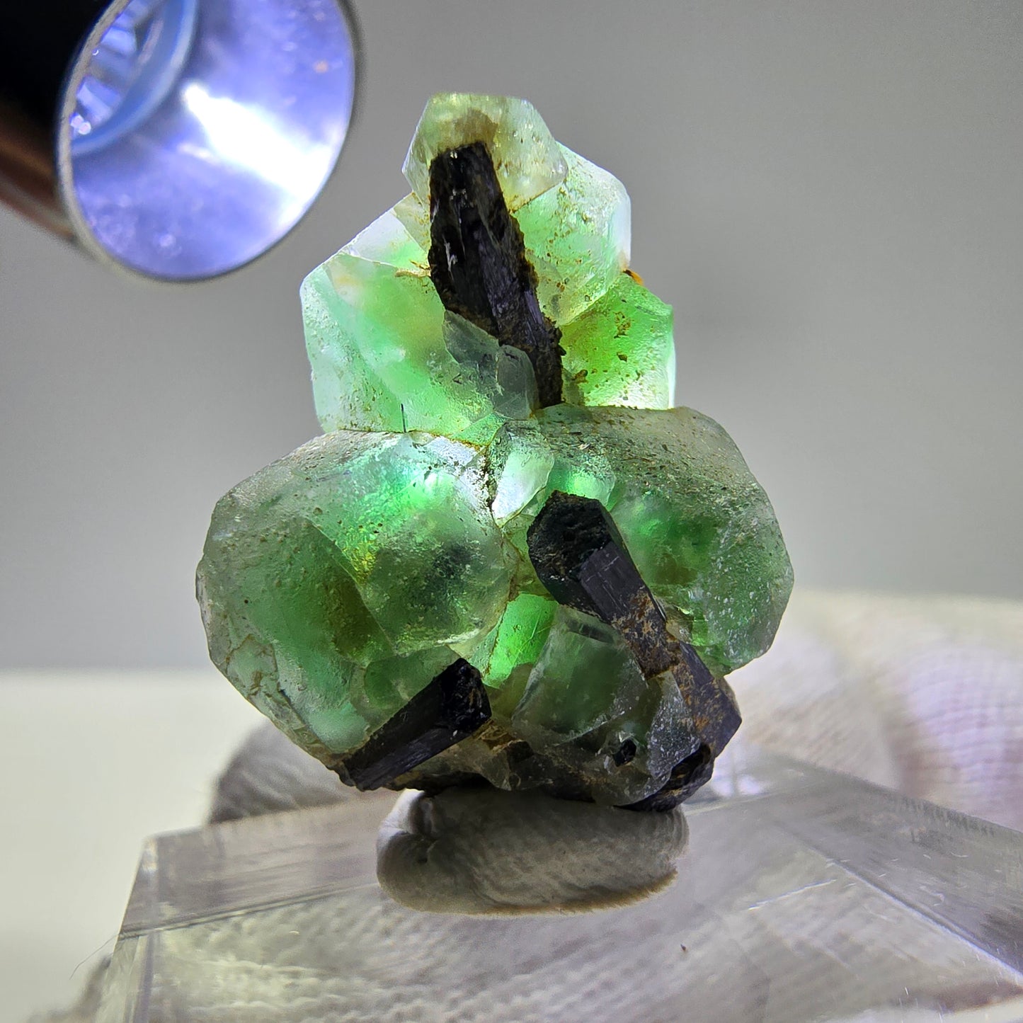 Spécimen de tourmaline Schorl hexagonale en cube de fluorite fantôme, Erongo, Namibie, 26 x 19 x 12 mm