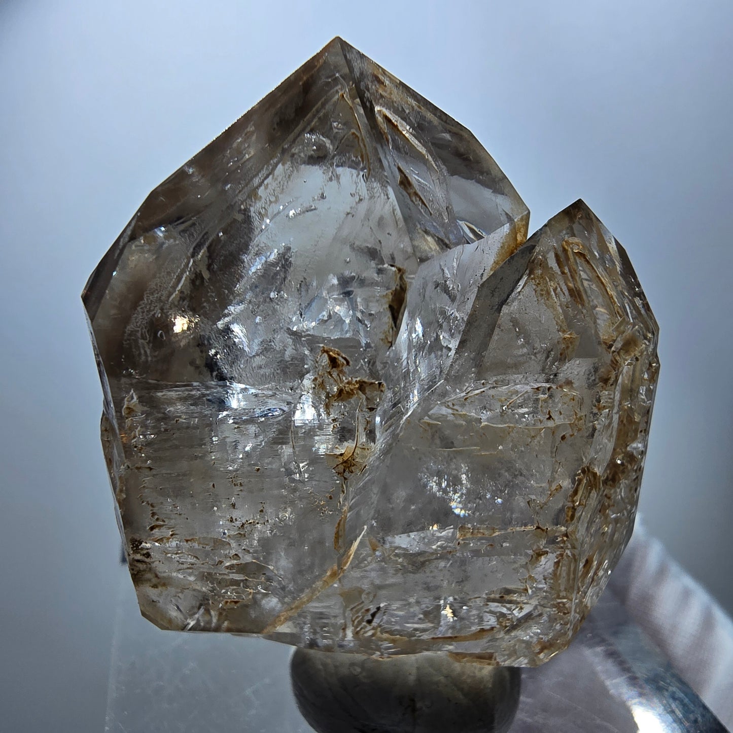 Phantom Rauchquarz Skelett DT Zepter Kristall Goboboseb, Namibia 50*37*20mm
