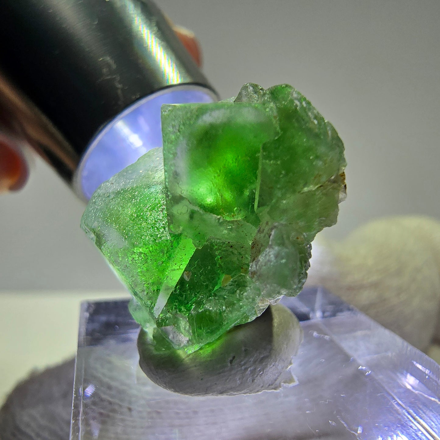 Cube de fluorite fantôme, spécimen de tourmaline Schorl, Erongo, Namibie, 23 x 19 x 15 mm