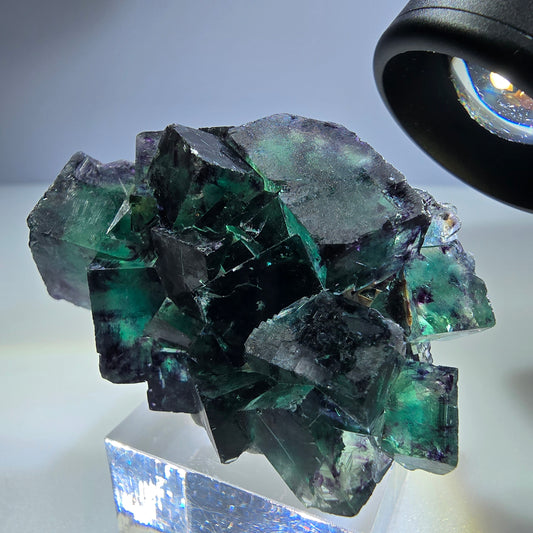 Spécimen rare de cube de fluorite fantôme, vert zonal et violet, Okorusu, Namibie, 49 x 34 x 29 mm