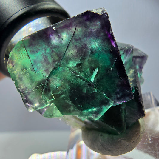 Seltene Fluorit Würfel Stufe, grün lila Okorusu, Namibia 42*31*30mm