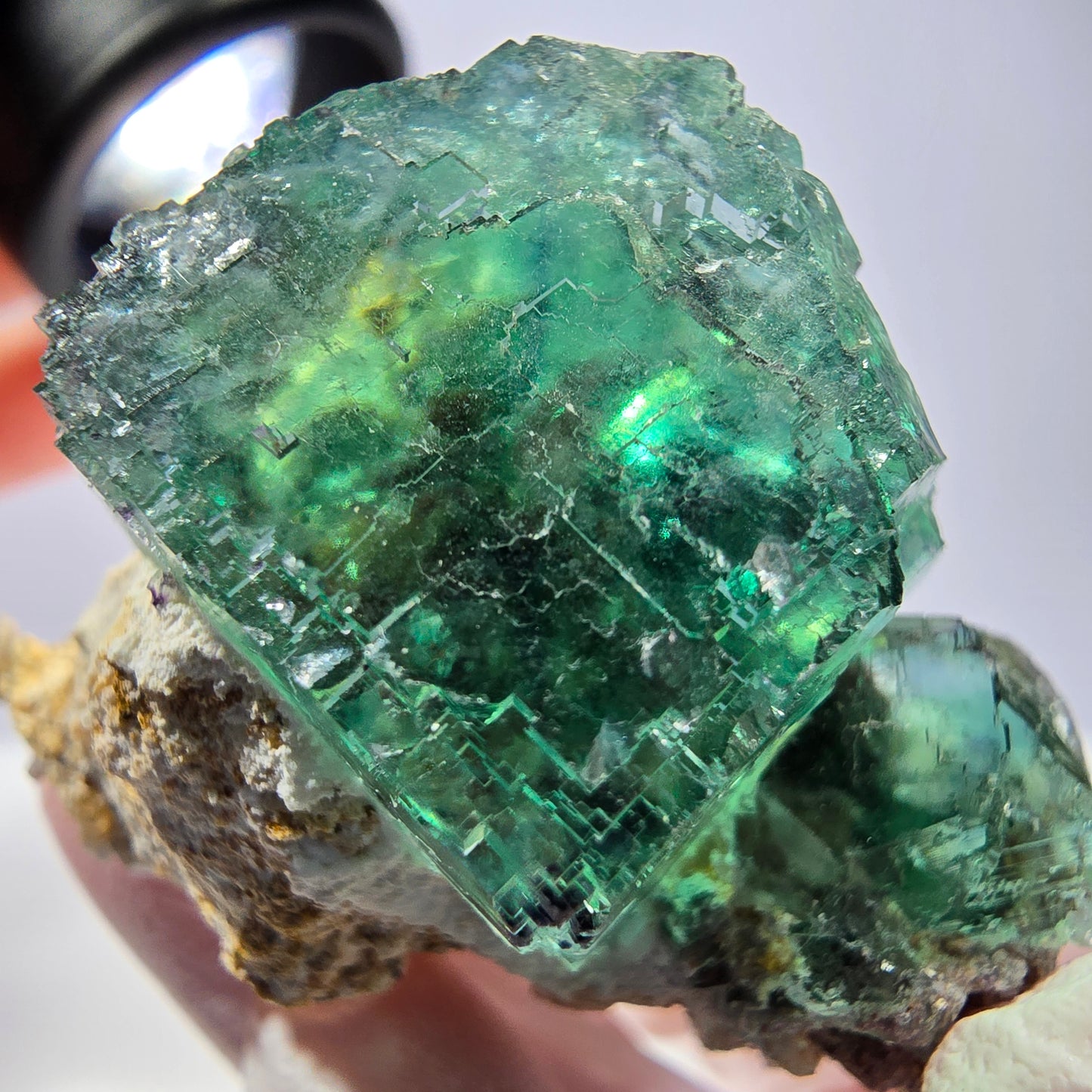 Spécimen de cube de fluorite fantôme, parqueté vert violet Okorusu, Namibie 46*37*36 mm